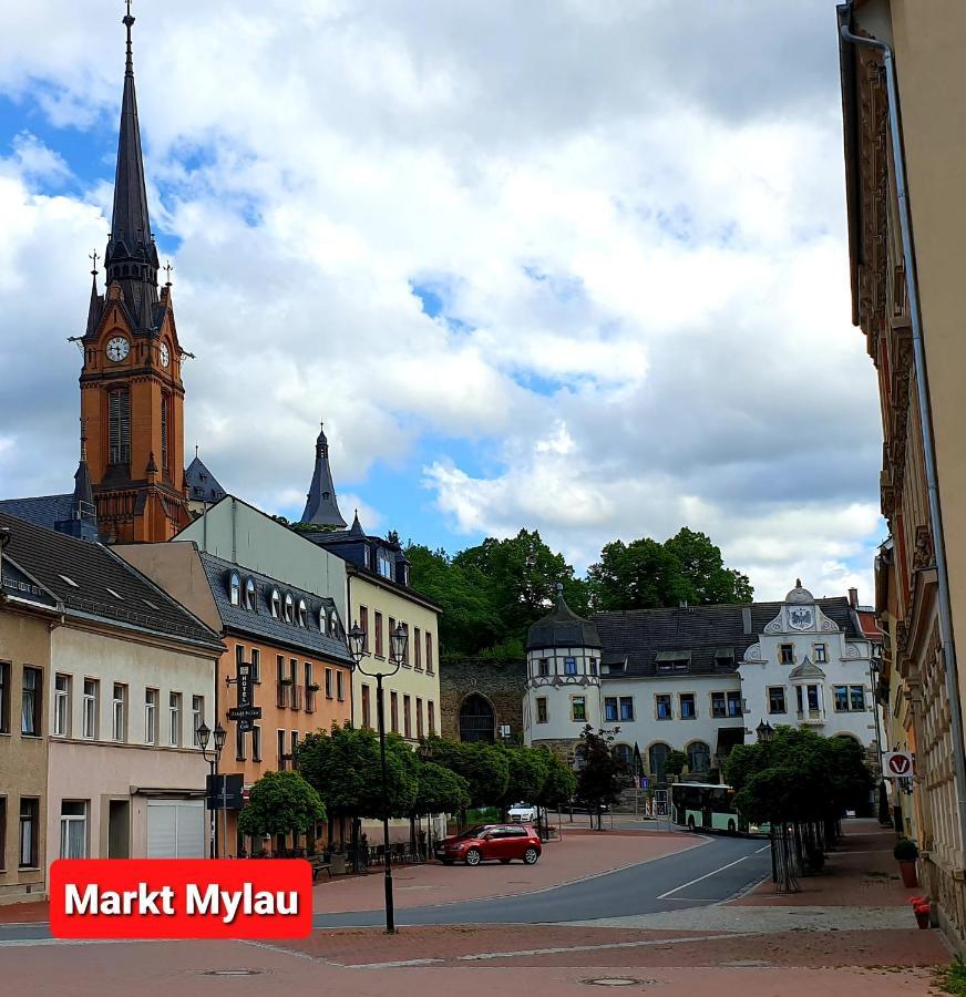 Ferienwohnung "Blick Mylau" - Naehe Freizeitpark Plohn & Weltgroesster Ziegelsteinbruecke Reichenbach im Vogtland Esterno foto