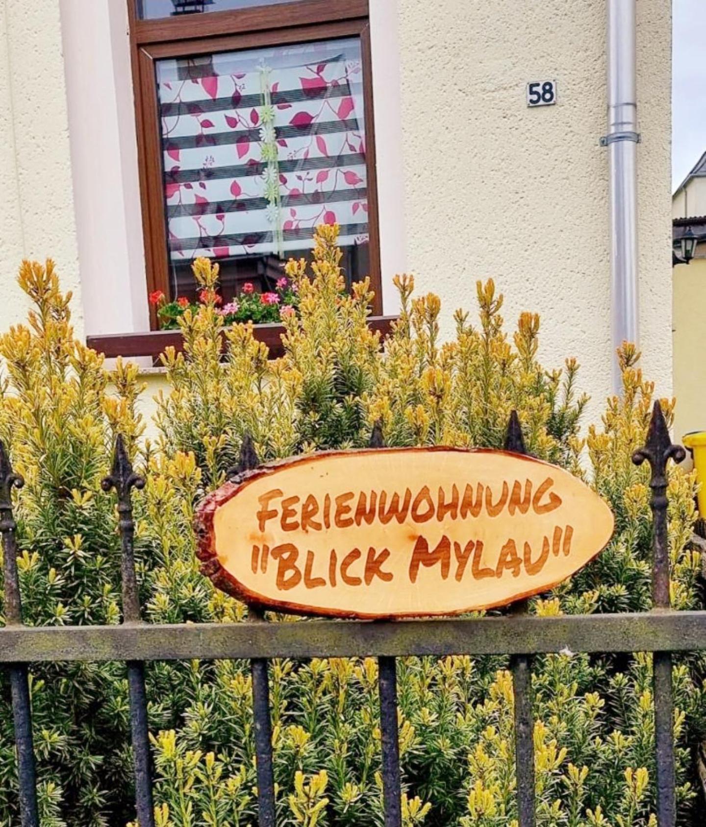 Ferienwohnung "Blick Mylau" - Naehe Freizeitpark Plohn & Weltgroesster Ziegelsteinbruecke Reichenbach im Vogtland Esterno foto