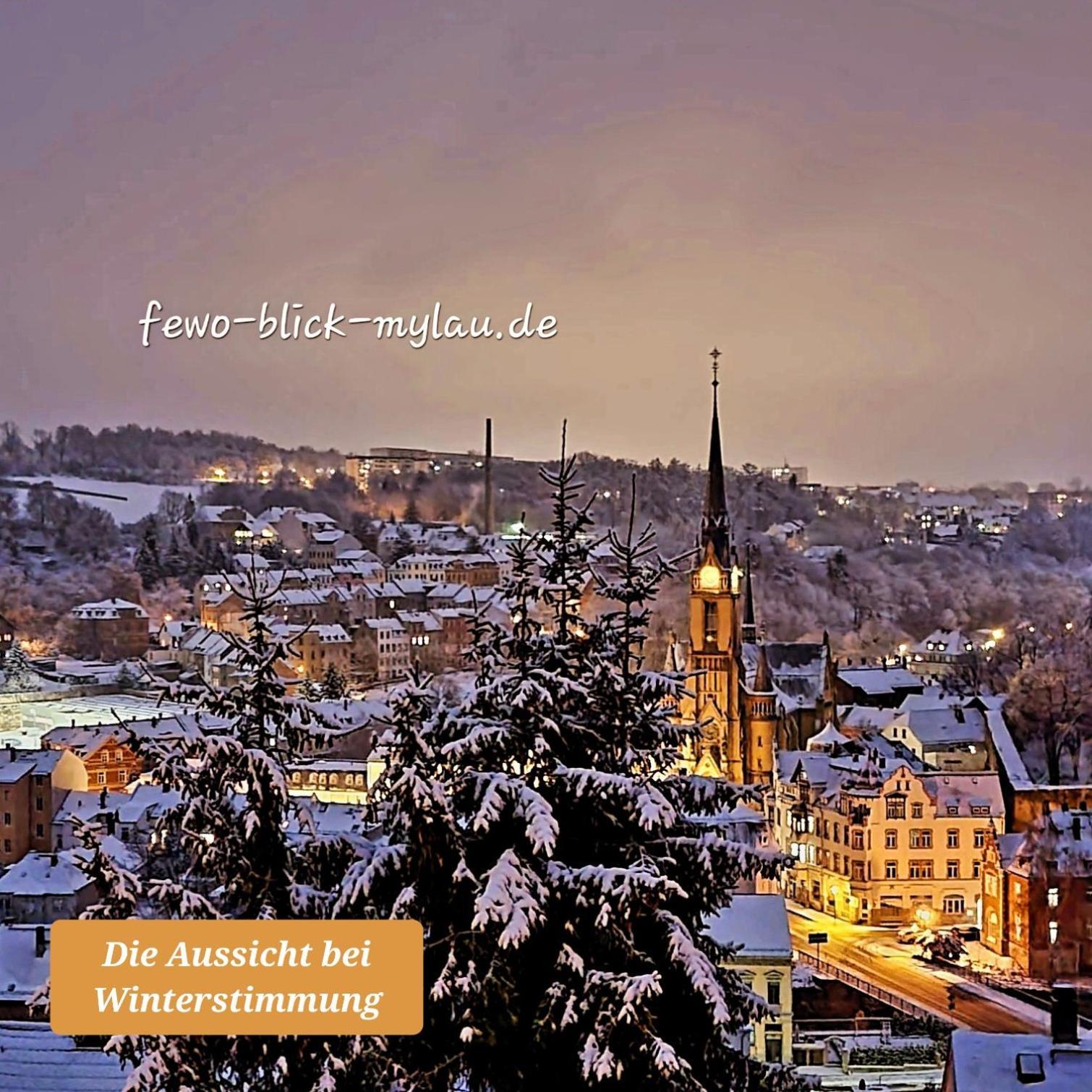 Ferienwohnung "Blick Mylau" - Naehe Freizeitpark Plohn & Weltgroesster Ziegelsteinbruecke Reichenbach im Vogtland Esterno foto